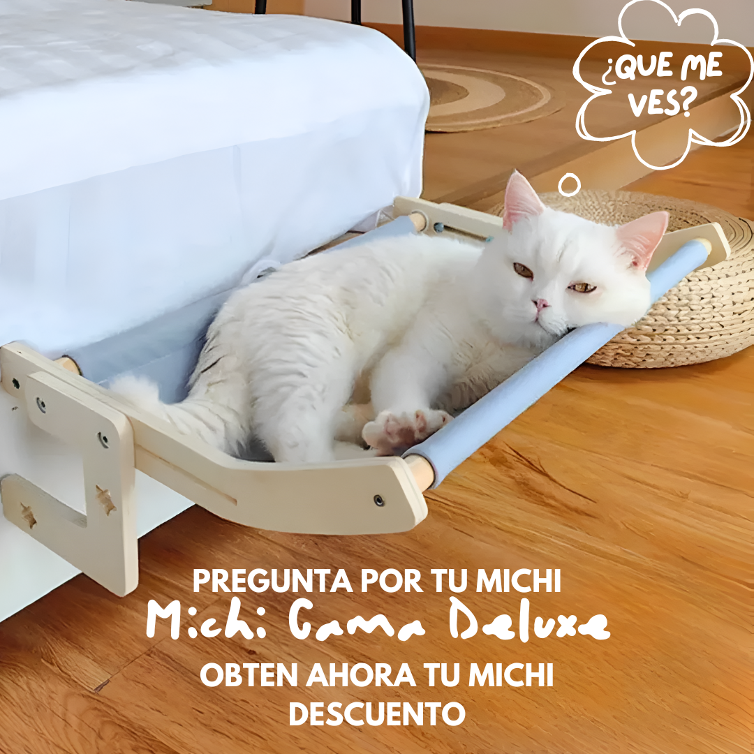 MICHI CAMA DELUXE